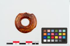 Foto von Bernsteinringperle (NHMW-PRAE-024940)